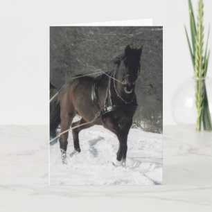 Thomas in the Snow Holiday Card