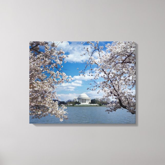Thomas Jefferson Memorial with Cherry Blossoms Canvas Print (Front)