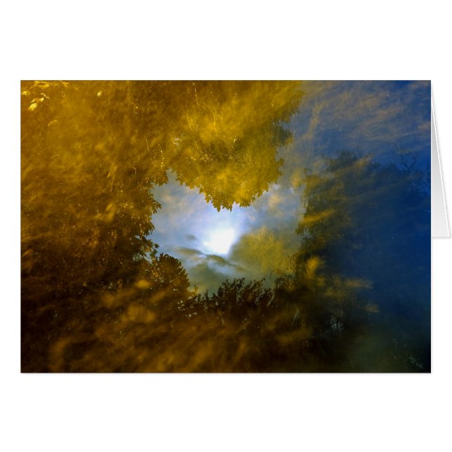 "thomas moran closed-eye vision" (Front Horizontal)