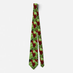Thomasse Tie
