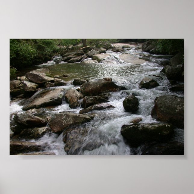 Thompson River Poster (Front)