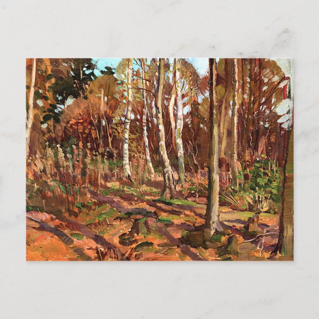 Thomson - View of Algonquin Park Postcard (Front)