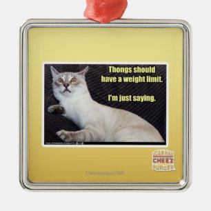 Thongs should have a weight limit. metal ornament