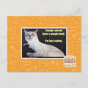 Thongs should have a weight limit. postcard