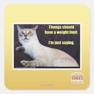 Thongs should have a weight limit. square sticker