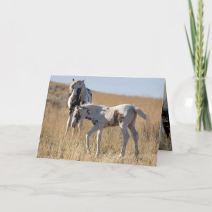 Thor and Thudra Thank You Card