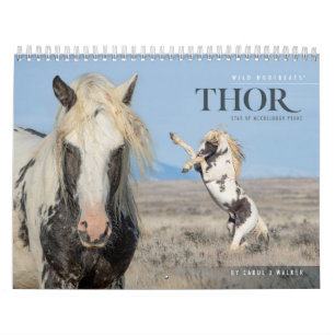 Thor, Calendrier des Chevaux Sauvages