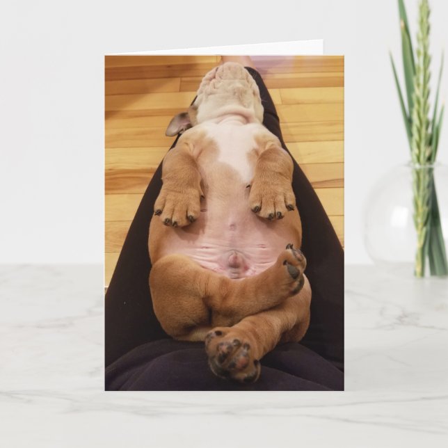 Thor de bébé la carte de voeux de bouledogue (Devant)