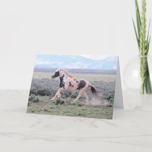 Thor of McCullough Peaks Greeting Card (Front)
