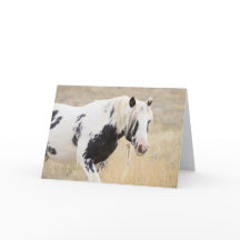 Thor of McCullough Peaks Greeting Card