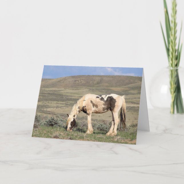 Thor of McCullough Peaks Thank You Card (Front)