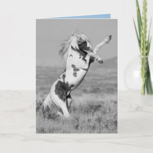 Thor Rears Wild Horse Greeting Card