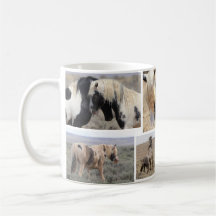 Thor Wild Horse
