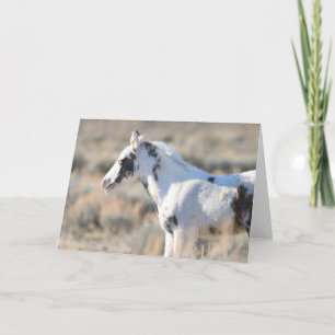 Thora of McCullough Peaks Thank You Card