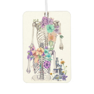 Thoracic cage air freshener
