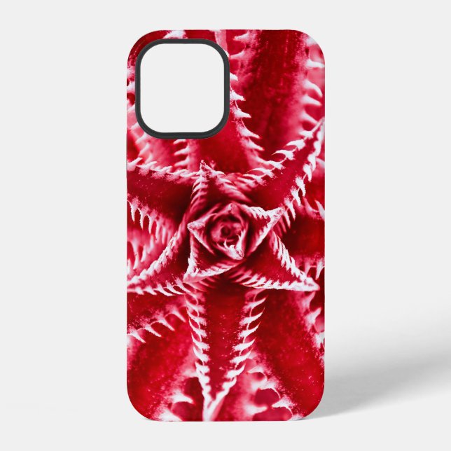 thorn cactus,  natural pattern,  abstract red back iPhone case (Back)