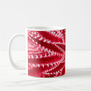 thorn cactus,natural pattern,abstract red backgrou coffee mug