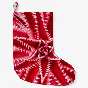 thorn cactus,natural pattern,abstract red backgrou small christmas stocking