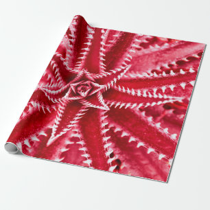 thorn cactus,natural pattern,abstract red backgrou wrapping paper