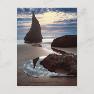 Thorn-Shaped seastack Face Rock Wayside, OR Postcard