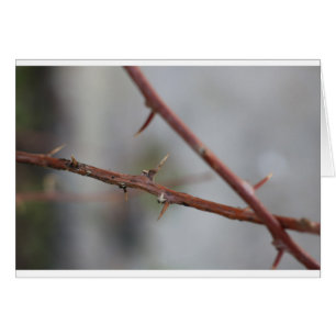 Thorns