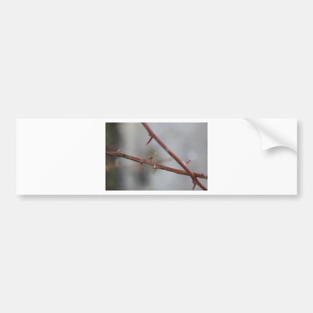 Thorns Bumper Sticker (Front)