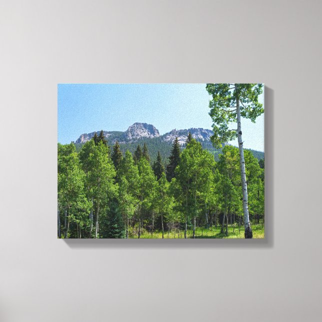 thorodin summit above woodlands at golden gate canvas print (Front)
