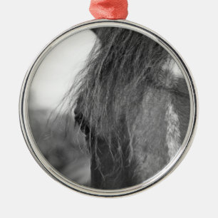 thoroughbred b/w metal ornament