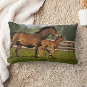 Thoroughbred Chestnut Mare & Foal Lumbar Pillow