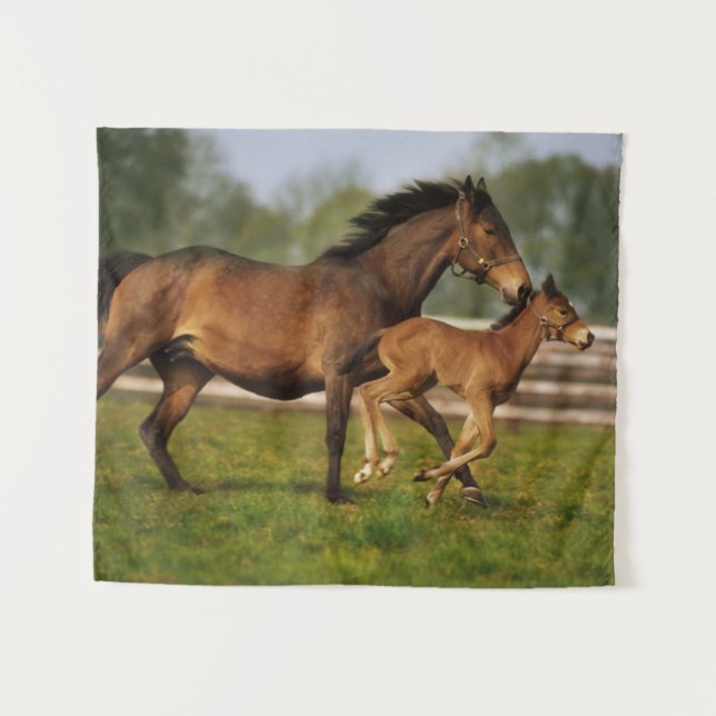 Thoroughbred Chestnut Mare & Foal Tapestry (Front (Horizontal))
