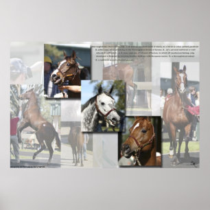 Thoroughbred Defined Poster