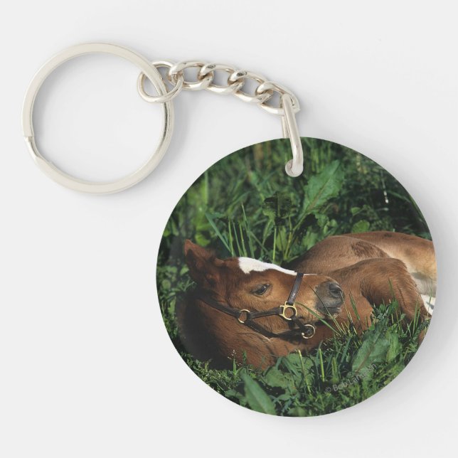 Thoroughbred Foal Lying Down Keychain (Front)