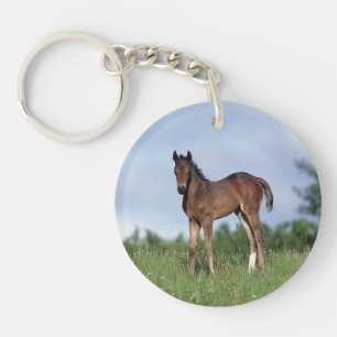 Thoroughbred Foal Standing in the Grass Keychain