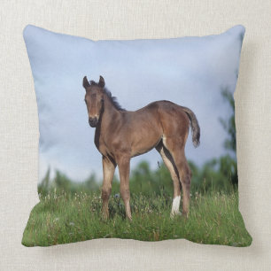 Thoroughbred Foal Standing in the Grass Throw Pillow