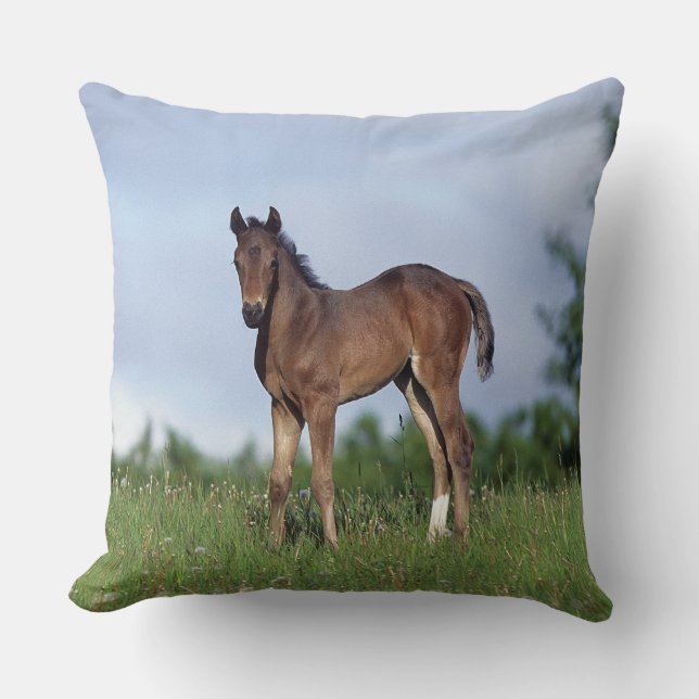 Thoroughbred Foal Standing in the Grass Throw Pillow (Front)