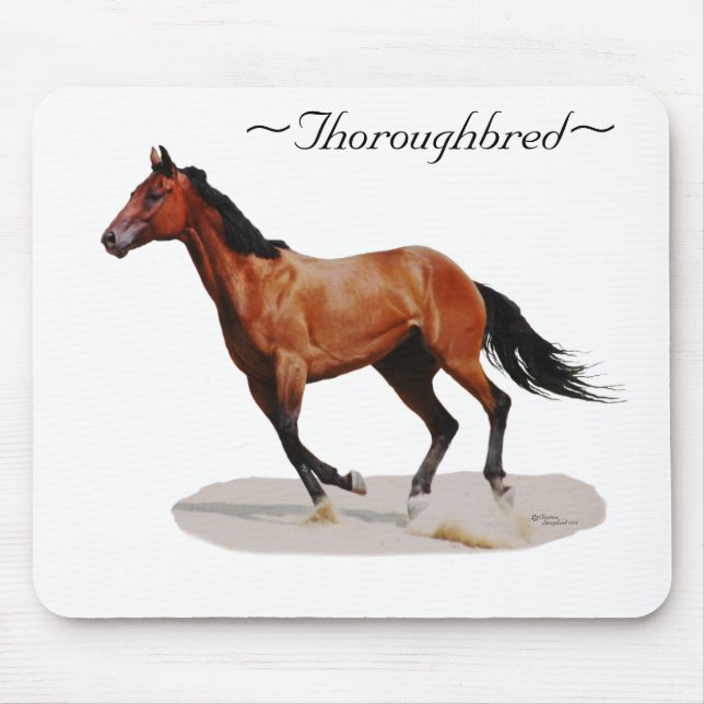 Thoroughbred galloping Mousepad (Front)
