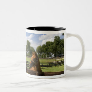 Thoroughbred horse farm in Marion County, Two-Tone Coffee Mug