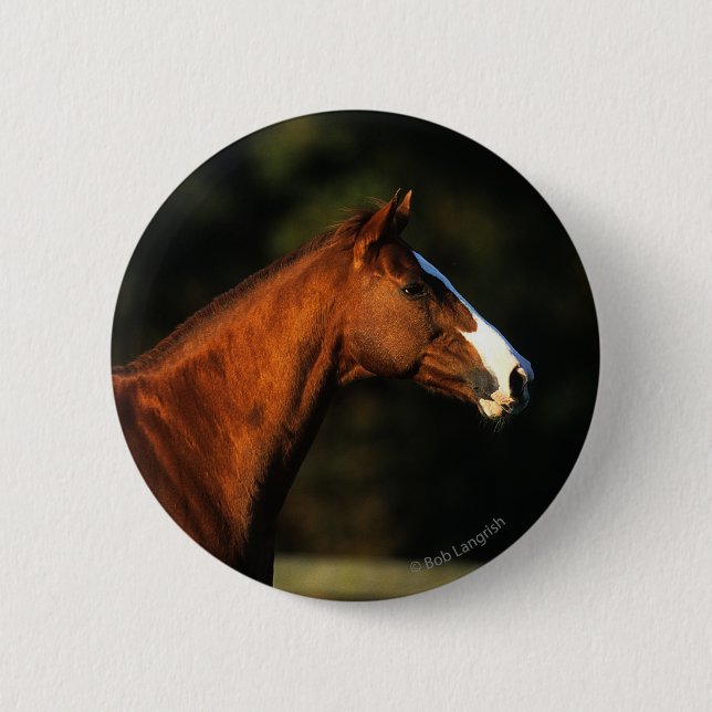 Thoroughbred Horse Headshot 2 Inch Round Button (Front)