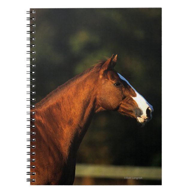 Thoroughbred Horse Headshot Notebook (Front)