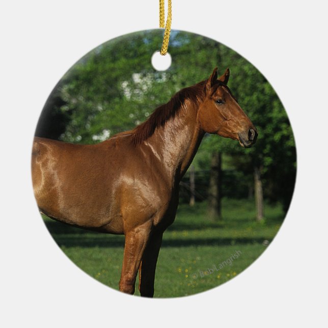 Thoroughbred Horse in Flowers Ceramic Ornament (Front)