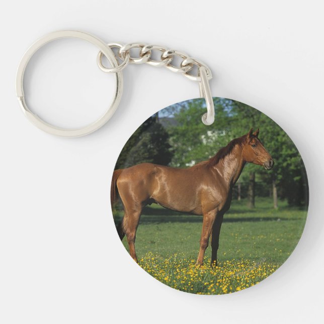 Thoroughbred Horse in Flowers Keychain (Front)