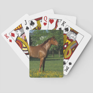 Thoroughbred Horse in Flowers Playing Cards