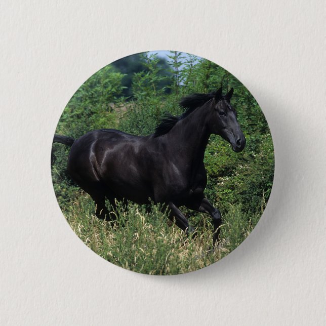 Thoroughbred Horse Running in Grass 2 Inch Round Button (Front)