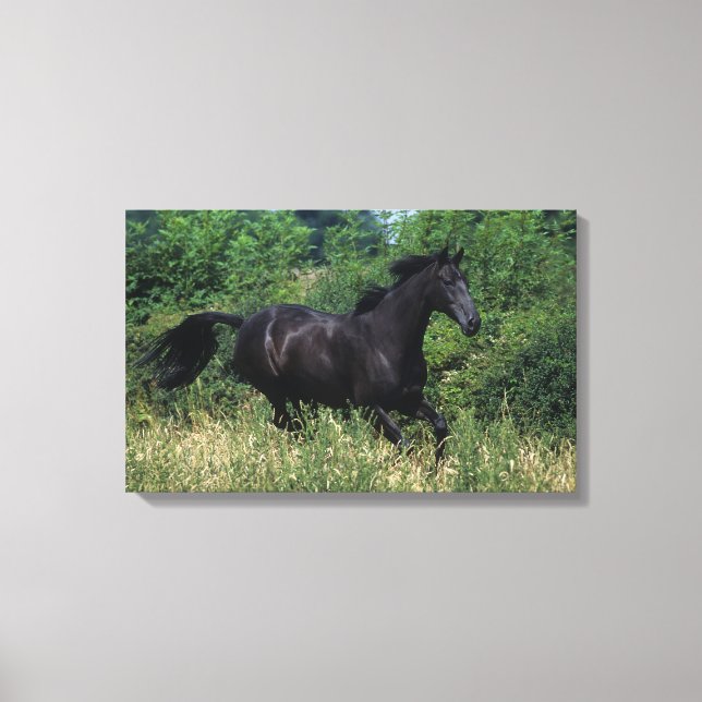 Thoroughbred Horse Running in Grass Canvas Print (Front)