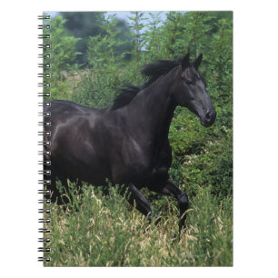 Thoroughbred Horse Running in Grass Notebook
