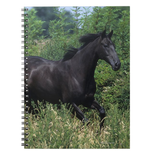 Thoroughbred Horse Running in Grass Notebook (Front)