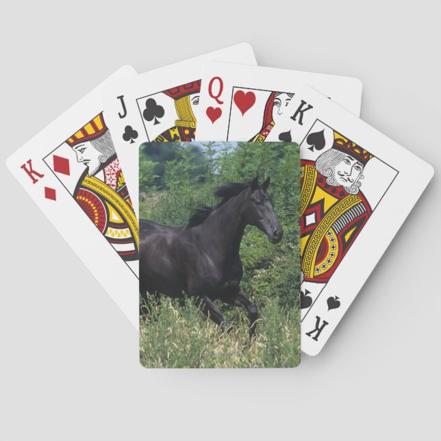Thoroughbred Horse Running in Grass Playing Cards (Back)