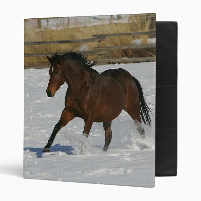 Thoroughbred Horse Running in the Snow Binder (Front/Inside)