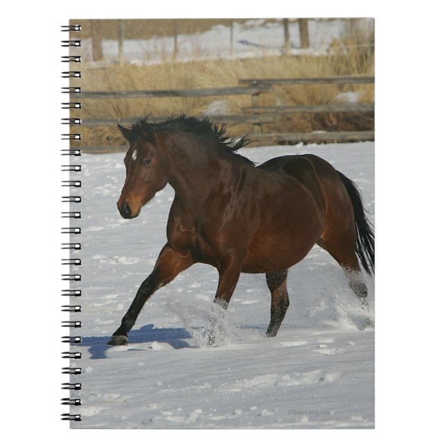 Thoroughbred Horse Running in the Snow Notebook (Front)