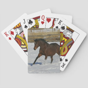 Thoroughbred Horse Running in the Snow Playing Cards